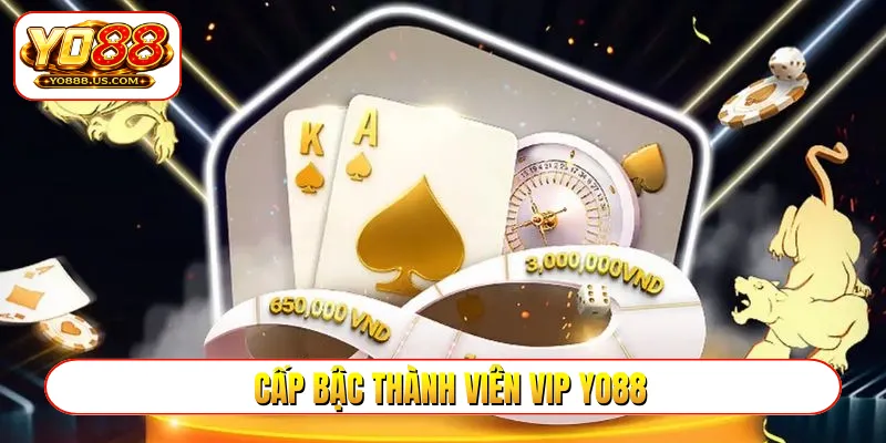 cấp bậc thành viên vip YO88