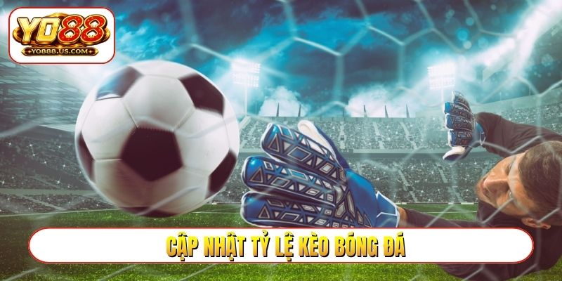 cập nhật tỷ lệ kèo bóng đá