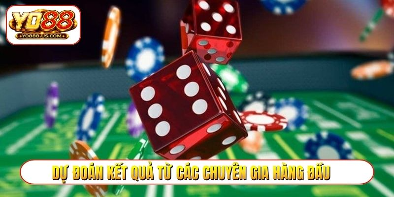Dự đoán kết quả từ các chuyên gia hàng đầu